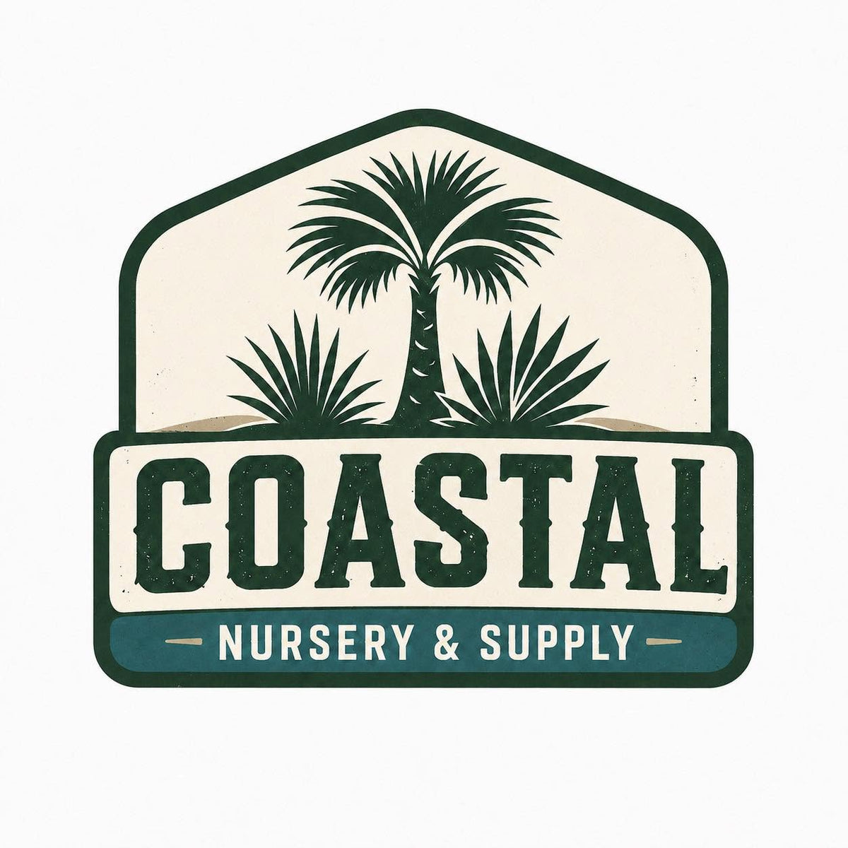 My Store